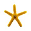 Load image into Gallery viewer, Sea Star