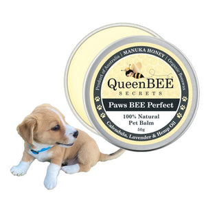 Paws BEE Perfect