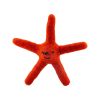 Load image into Gallery viewer, Sea Star